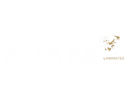 Canvas Logo